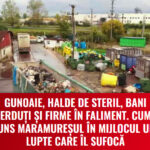 reportaj