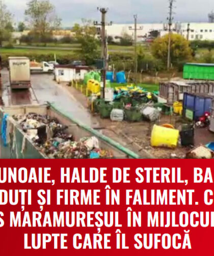 reportaj