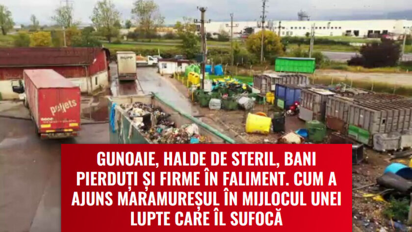 reportaj