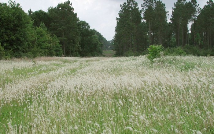 terenurilor