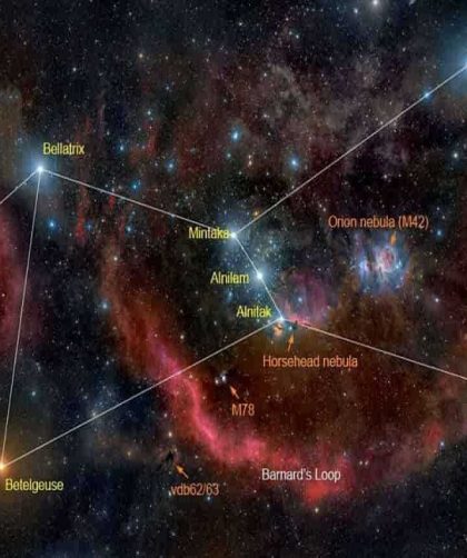 orion