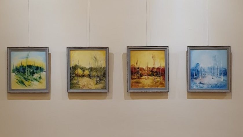 la Sighetu Marmației